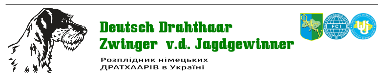Zwinger  v.d. Jagdgewinner - розплідник німецьких дратхаарів