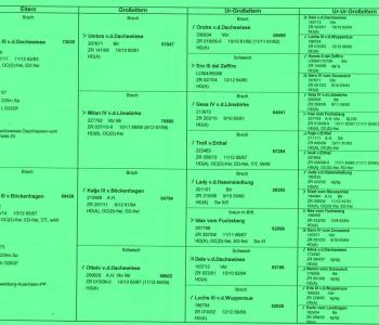 Як читати родовід Німецького Дратхаара