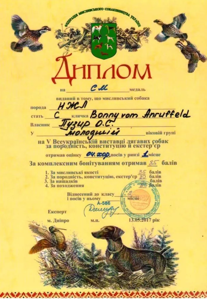 Виставковий диплом Bonny vom Anruffeld