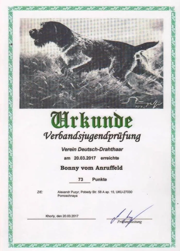 Диплом Bonny vom Anruffeld — документ 2