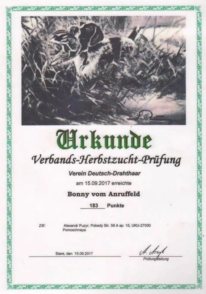 Диплом Bonny vom Anruffeld — документ 4