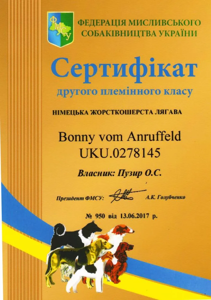 Диплом Bonny vom Anruffeld — документ 8