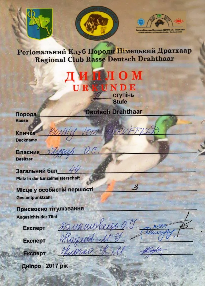 Диплом Bonny vom Anruffeld — документ 9