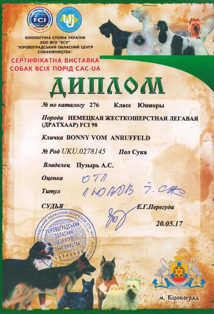 Диплом Bonny vom Anruffeld — документ 12