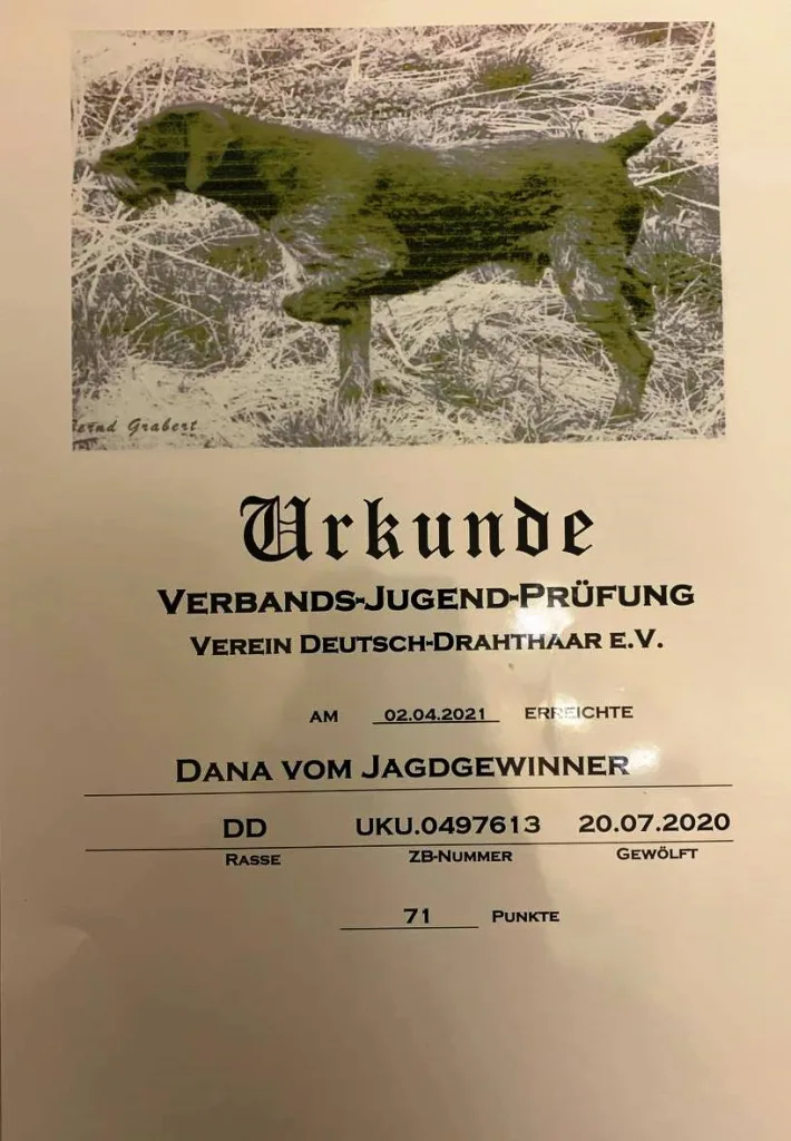 Диплом або сертифікат Dana vom Jagdgewinner — документ 6