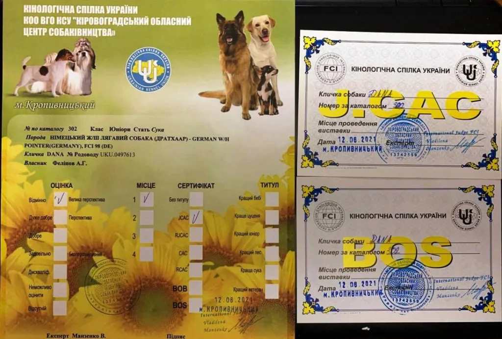 Диплом або сертифікат Dana vom Jagdgewinner — документ 13