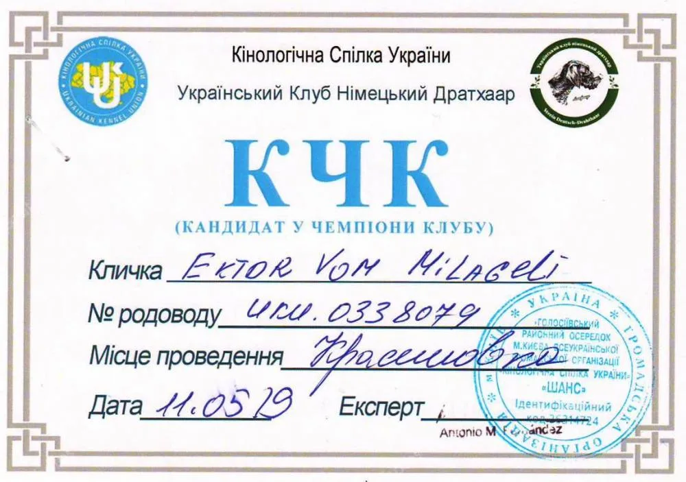 Диплом або протокол Ektor vom Milageli — документ 16