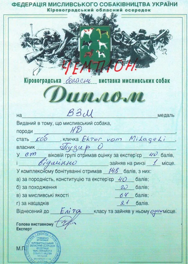 Диплом або протокол Ektor vom Milageli — документ 34