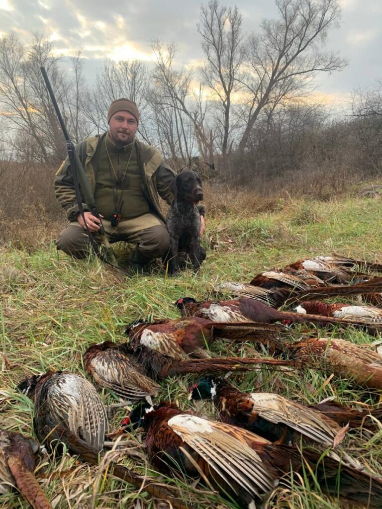 Dana vom Jagdgewinner — робочі якості