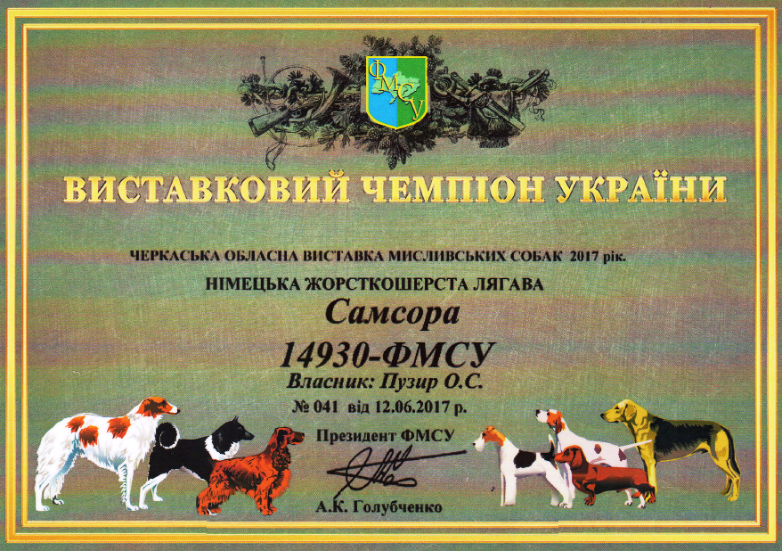 Диплом чемпіона Samsora