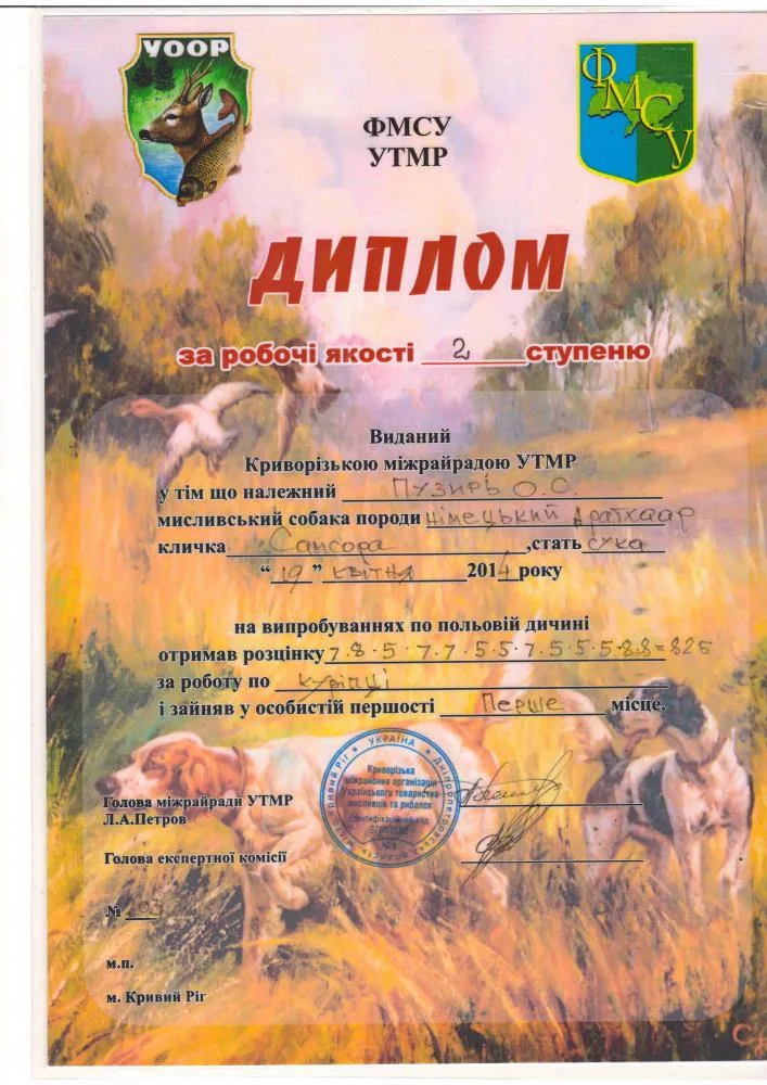 Робочий диплом Samsora — документ 3