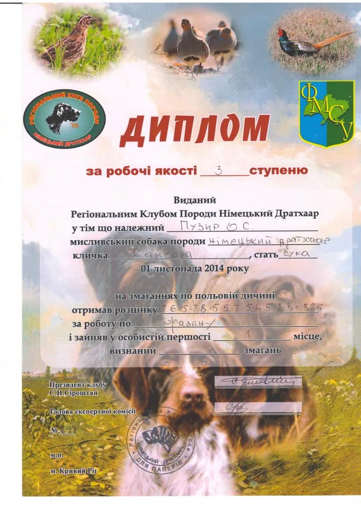Робочий диплом Samsora — документ 4
