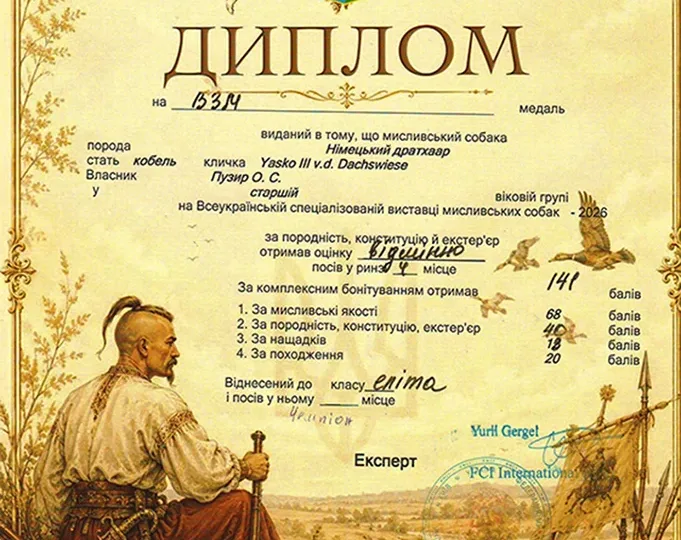Диплом Чемпіона України Yasko III v.d. Dachswiese — 2026